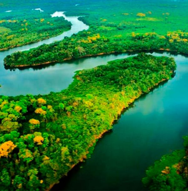 AMAZONAS - AM (4 DIAS) - Imagem 2