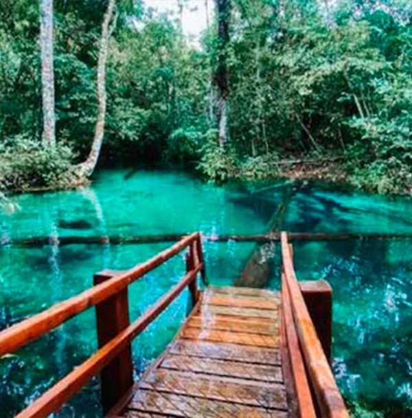 NOBRES - MT (3 DIAS) - Imagem 5