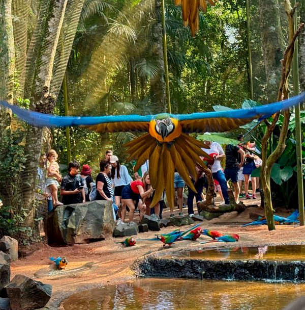 FOZ DO IGUAÇU, PARAGUAI E ARGENTINA - PR (4 DIAS) - Imagem 11