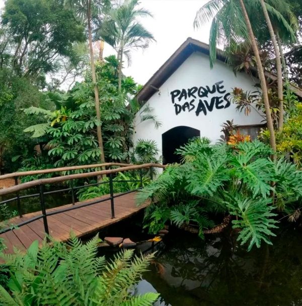 FOZ DO IGUAÇU, PARAGUAI E ARGENTINA - PR (4 DIAS) - Imagem 12