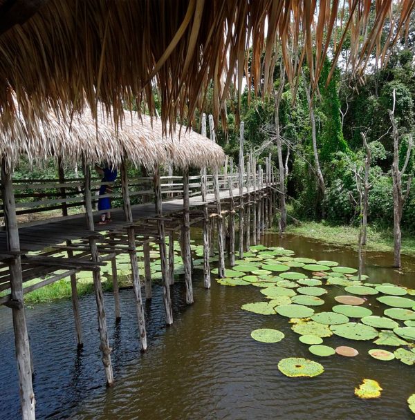 AMAZONAS - AM (4 DIAS) - Imagem 7